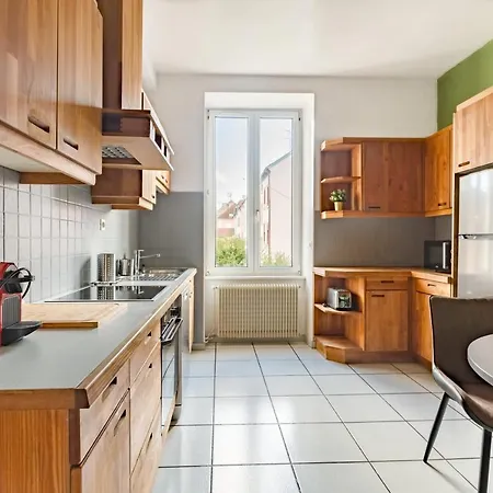 Apartment Travel Homes - The Wooden, Spacieux & Bon Quartier Mülhausen